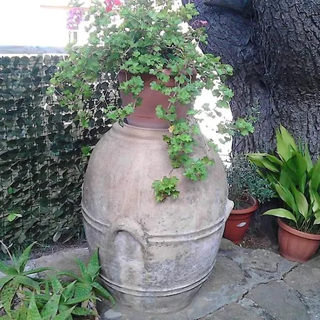 La Vigna Guest house